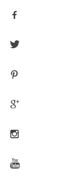 ico-social