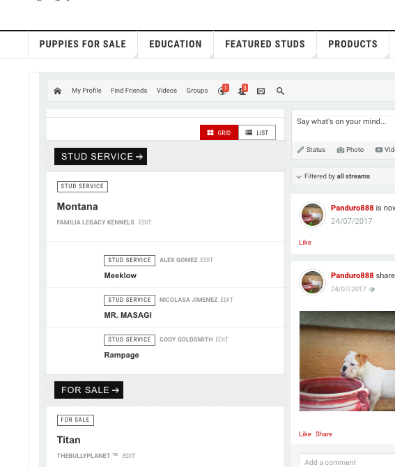 Screen-Shot-2017-07-24-at-4.25.53-PM