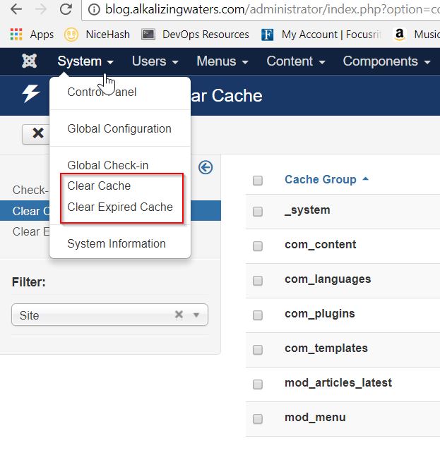 clear_joomla_cache_and_expired_cache