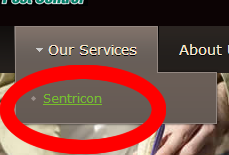dropdown_menu_color-change