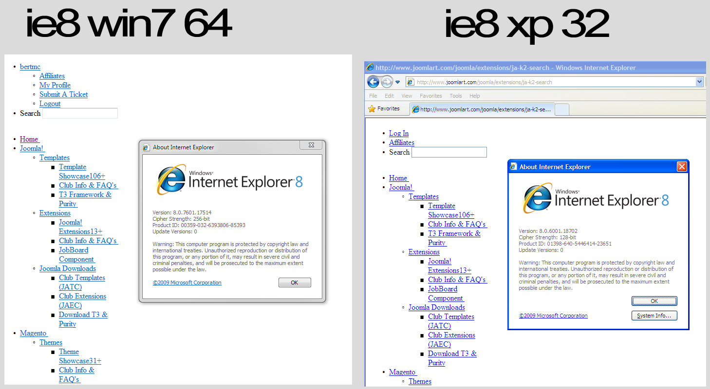 ie8-screenshots