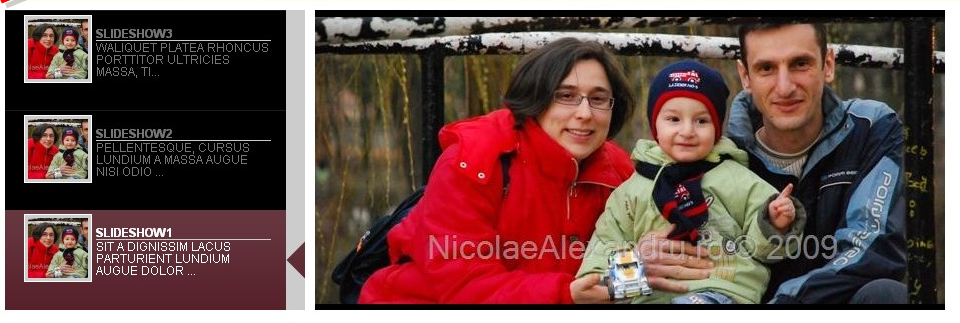 my-slideshow-on-website-20101012-screen-capture-result