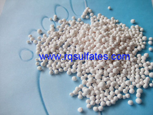 DSCF5686_35843259722282323567