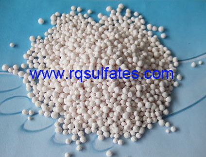 DSCF5691_35843259722282323567