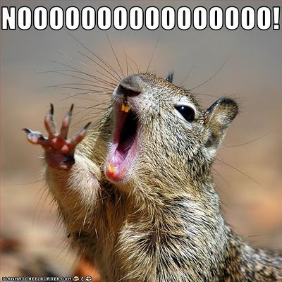 nooooooooooooooo