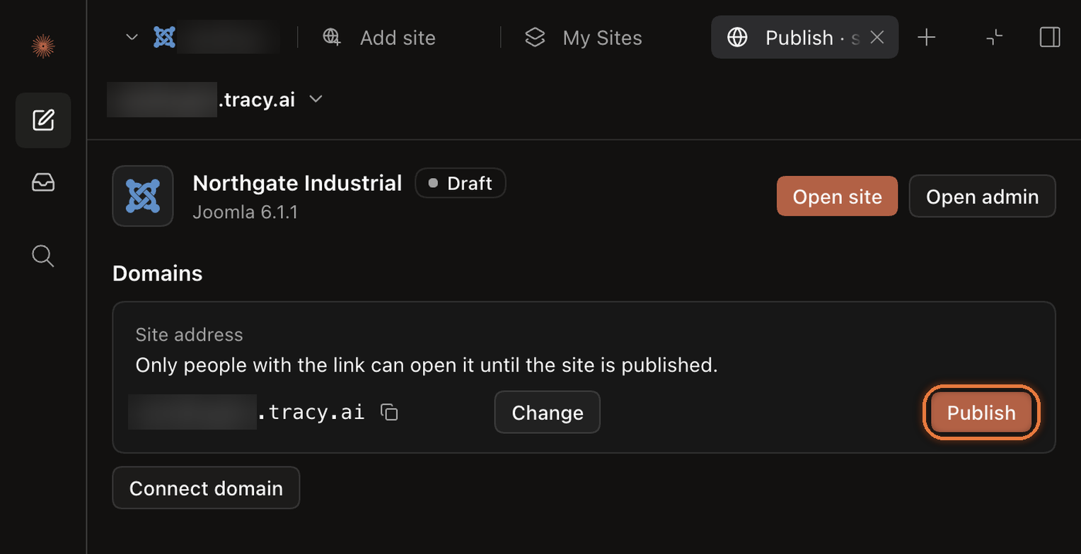 Publish screen with the site address, the Publish button and Connect domain