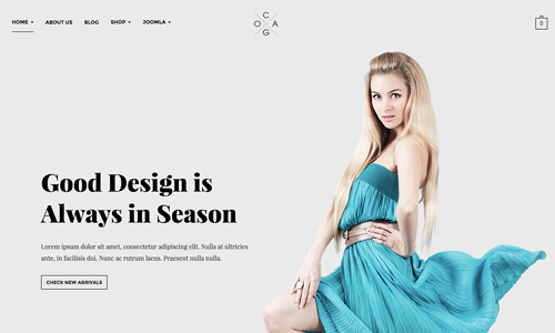 Joomla template for Fashion Store