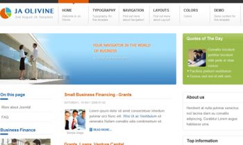 JA Olivine - Business vision